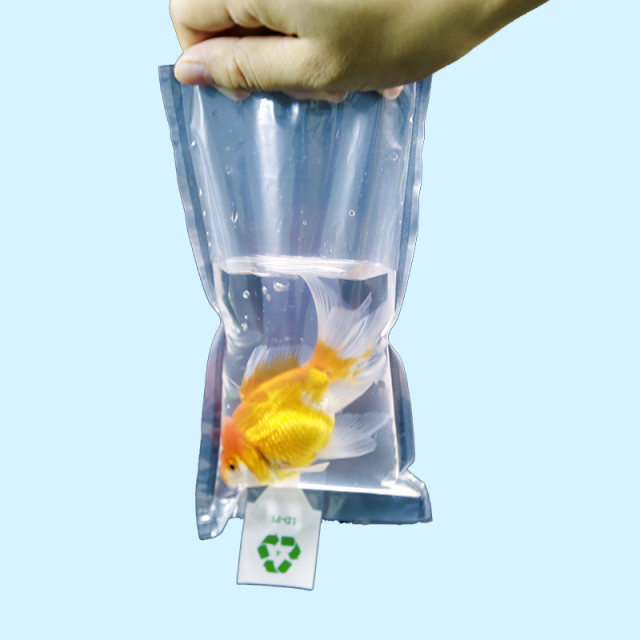 Fish Transport  Plastic Bag