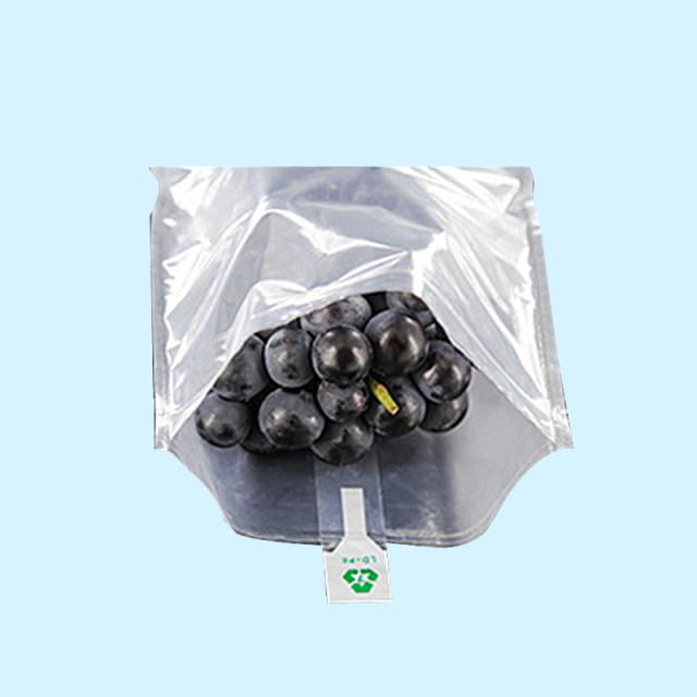 Fruit Double Buffer Bag in Bag
