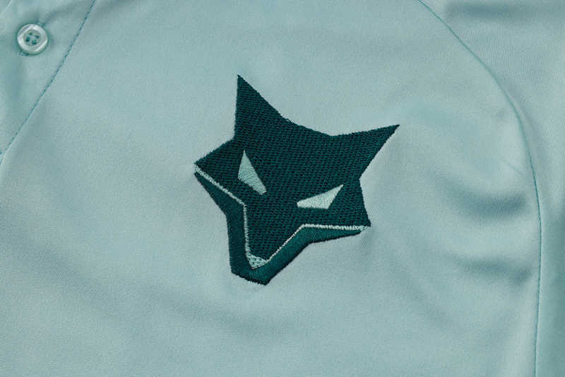2024-2025 Cruzeiro EC Light Blue Thailand Polo Shirt-815