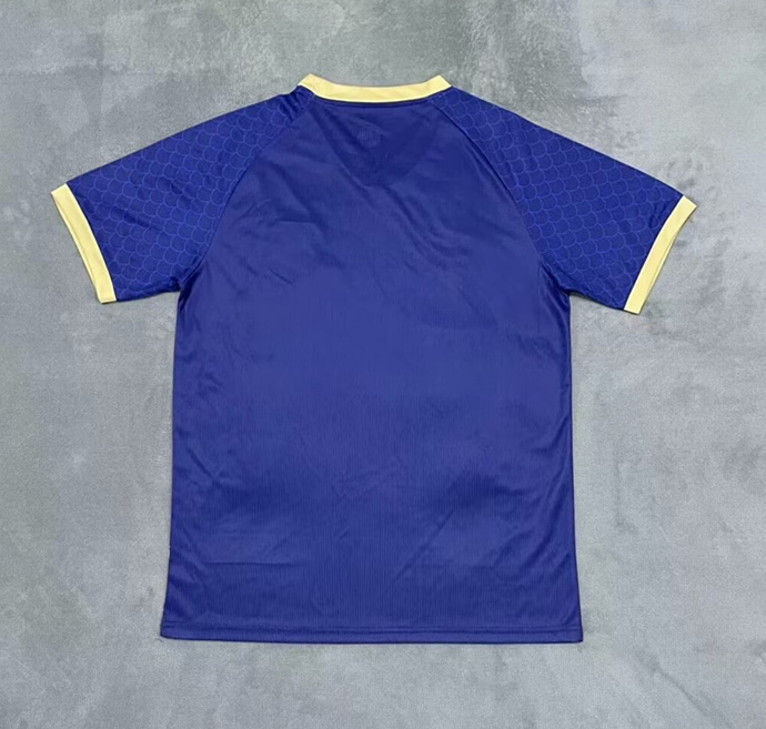 2024-2025 Saiyan Version Japan Blue Thailand Soccer Jersey AAA-2483
