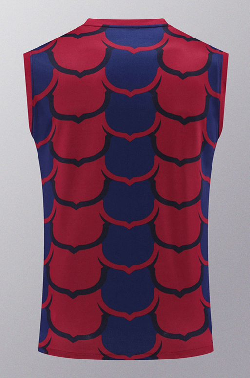 2024-25 Barcelona Red&Blue Thailand Soccer Vest-418