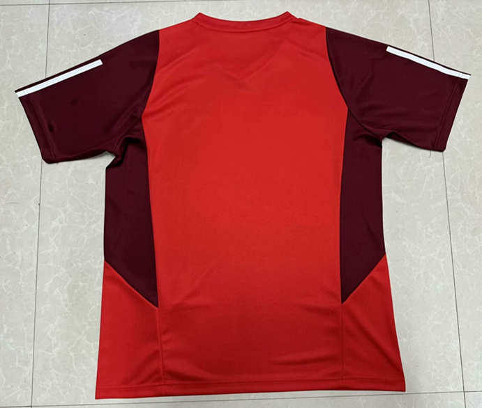 2024-2025 Flamengo Red Thailand Soccer Training AAA-5177