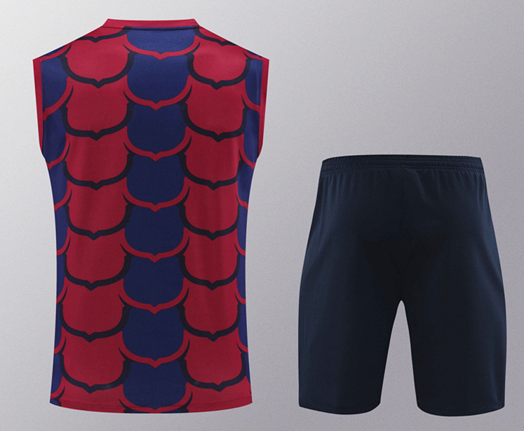 2024-25 Barcelona Red&Blue Thailand Soccer Vest Uniform-418