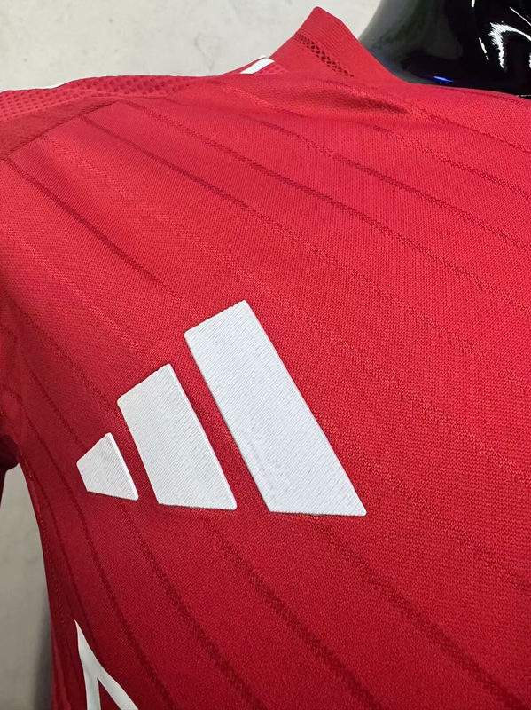 Player Version 2024-2025 Benfica Home Red Thailand Soccer Jersey AAA-3348