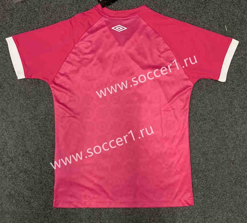 (S-4XL) 2023-2024 October Anniversary Version Santos FC Home White&Green Thailand Soccer Jersey AAA-GB