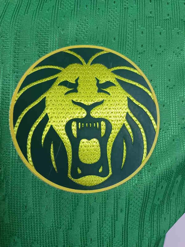 Player version 2025-2026 Cameroon Home Green Thailand Soccer Jersey-1959