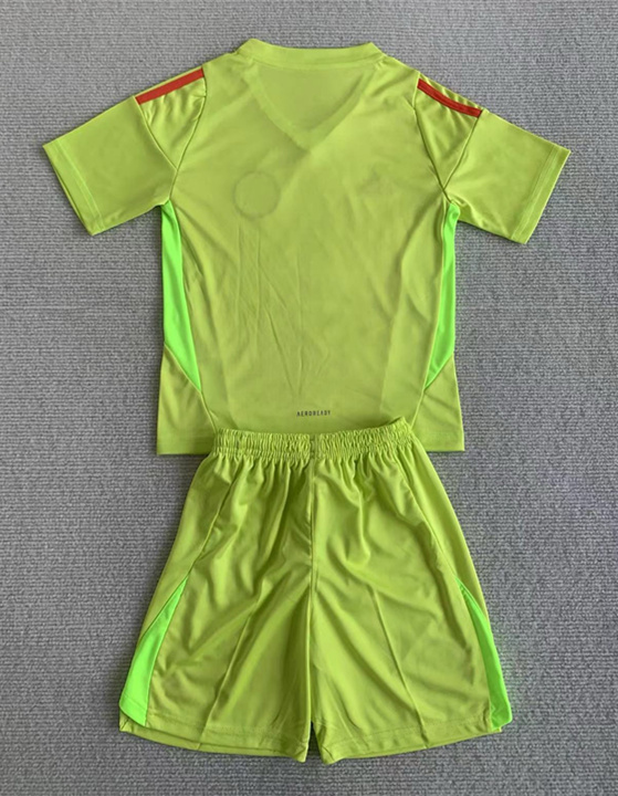 2024-2025 Scotland Goalkeeper Green Kids/Youth Soccer Uniform-AY