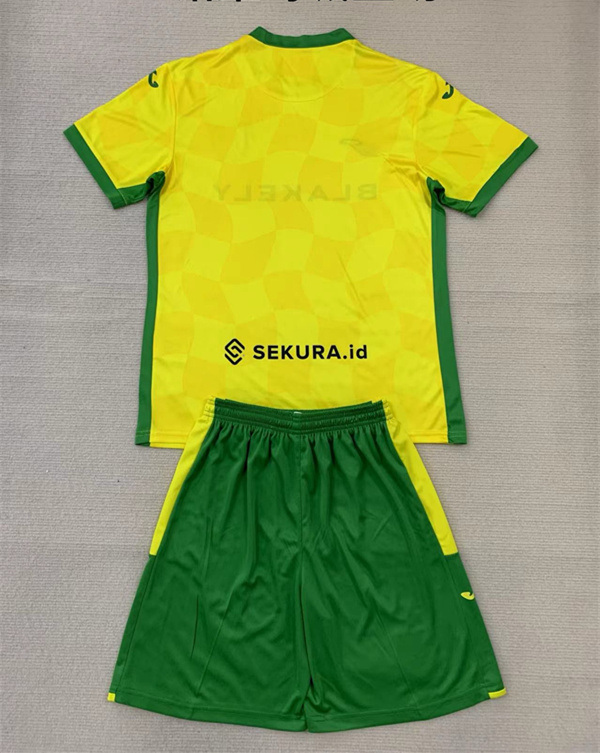 2024-2025 Norwich City Home Yellow  Kids/Youth Soccer Uniform-AY