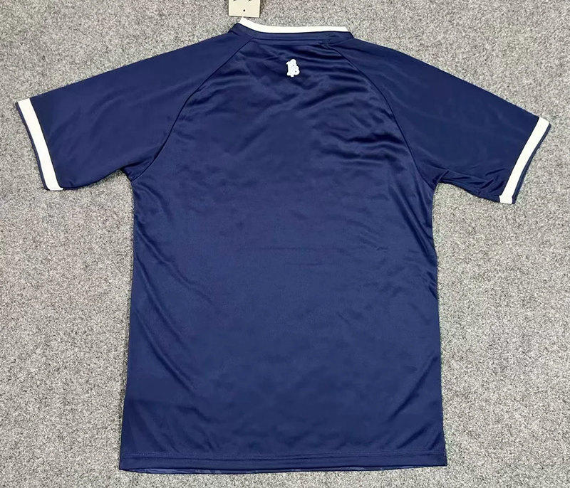 2024-2025 Bochum Home Royal Blue Thailand Soccer Jersey AAA-GB
