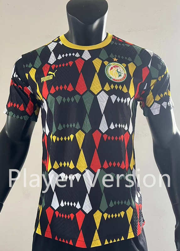 Player Version 2023-2024 Senegal Black Thailand Soccer Jersey AAA-SJ