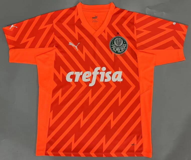 (S-4XL) 2024-2025 SE Palmeiras Goalkeeper Orange Thailand Soccer Jersey AAA-908