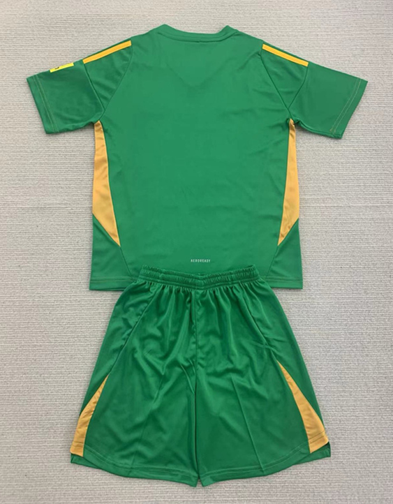 2024-2025 Newcastle United Goalkeeper Fruit Green Kid/Youth Soccer Uniform-AY