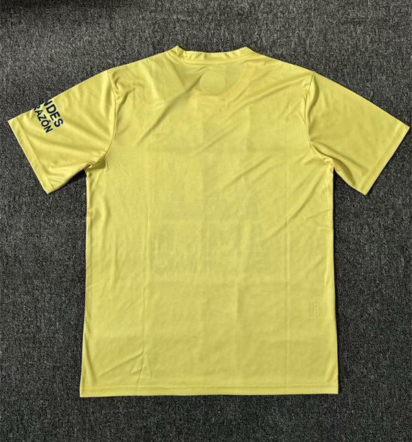 (S-4XL) 2024-2025 Champion Version Club America Yellow Thailand Soccer Jersey AAA-7810
