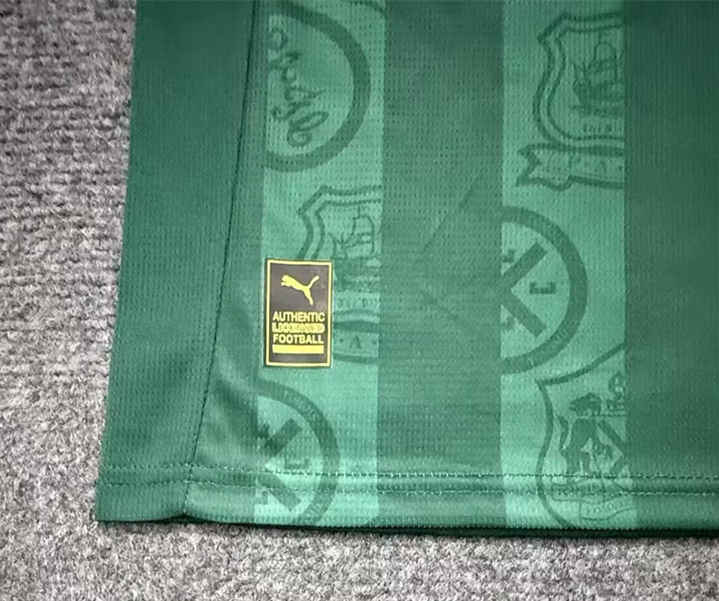 (S-4XL) 2025-2026 Plymouth Argyle Home Green Thailand Soccer Jersey AAA-7642