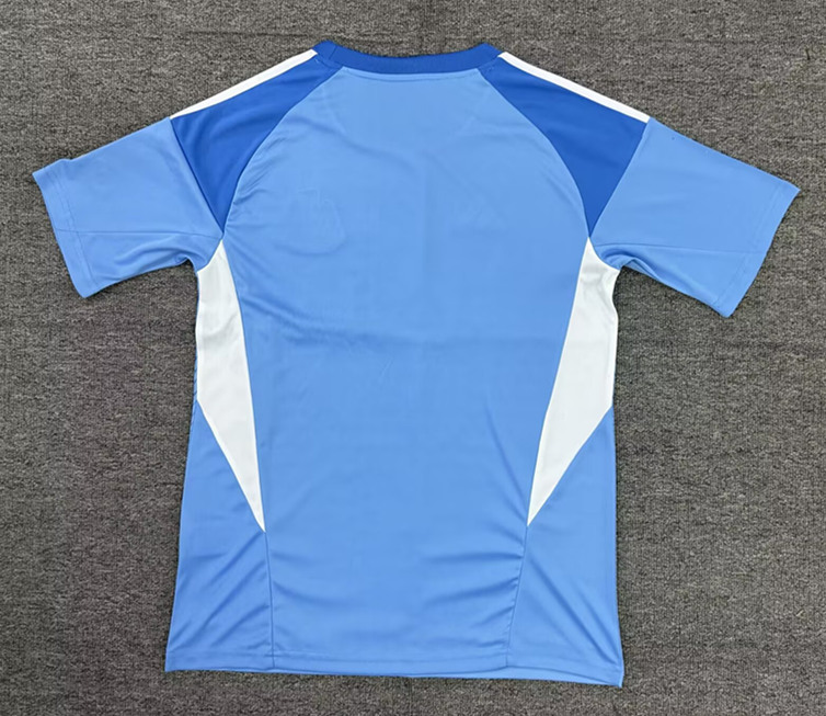 2025-2026 Newcastle United Goalkeeper Blue Thailand Soccer Jersey AAA-2353