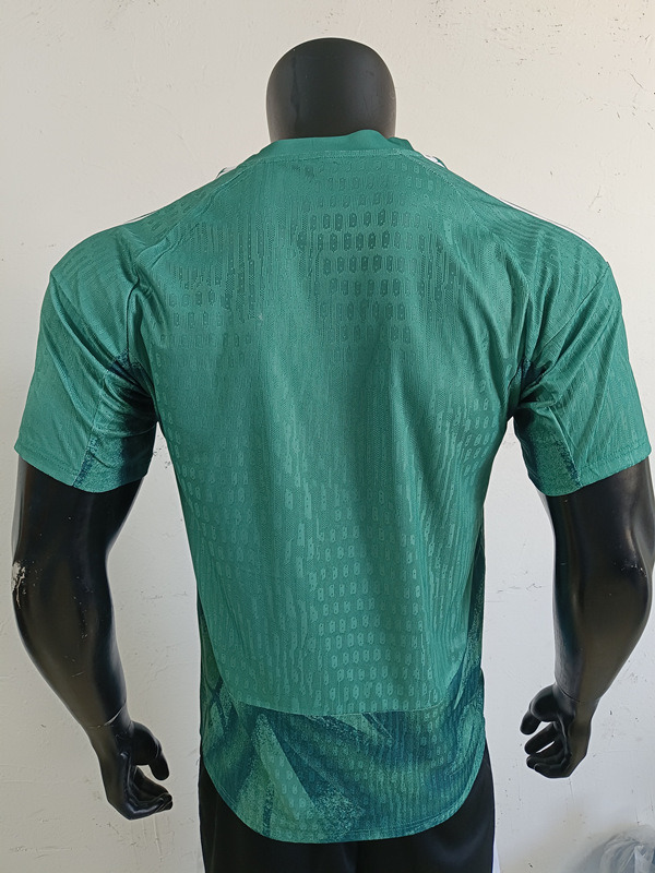 Player Version 2026-2027 Germany Goalkeeper Green Thailand Soccer Jersey AAA-0871