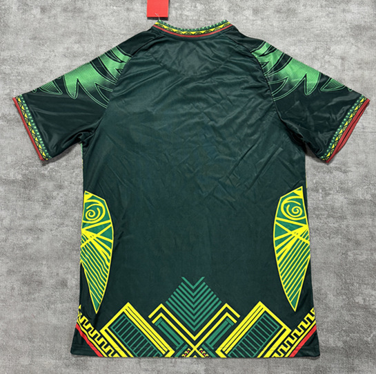 (S-4XL) 2026 Mali Eagle Head Green Thailand Soccer Jersey AAA-4506