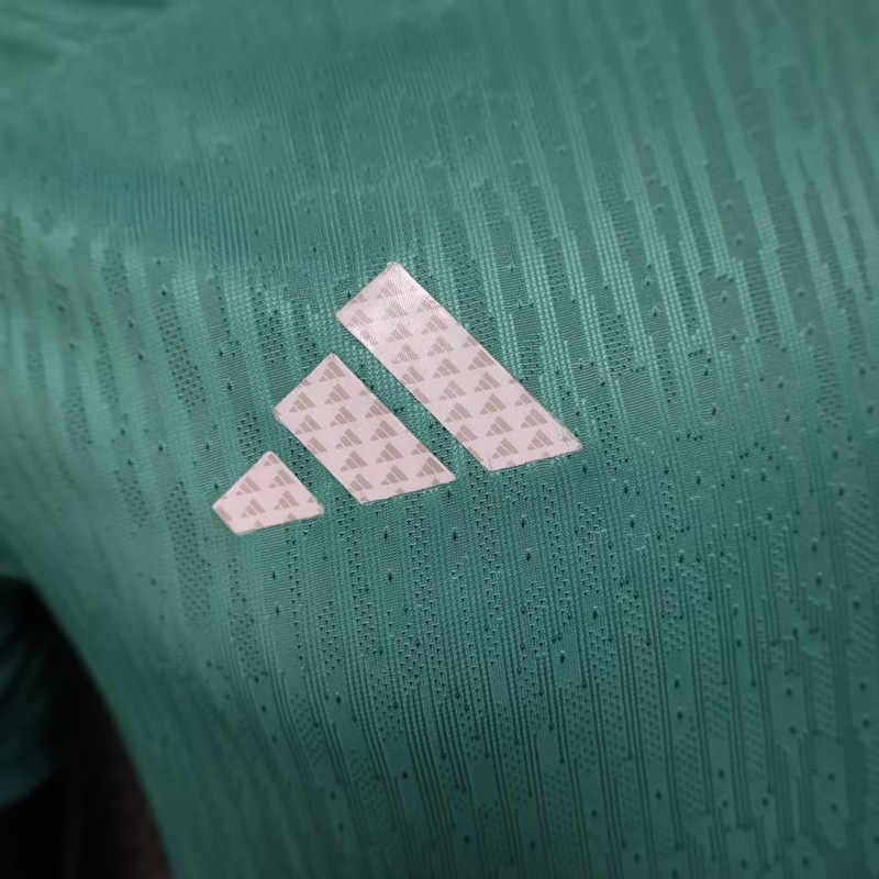 Player Version 2025-2026 Germany Green Thailand Training Soccer Jersey AAA-888