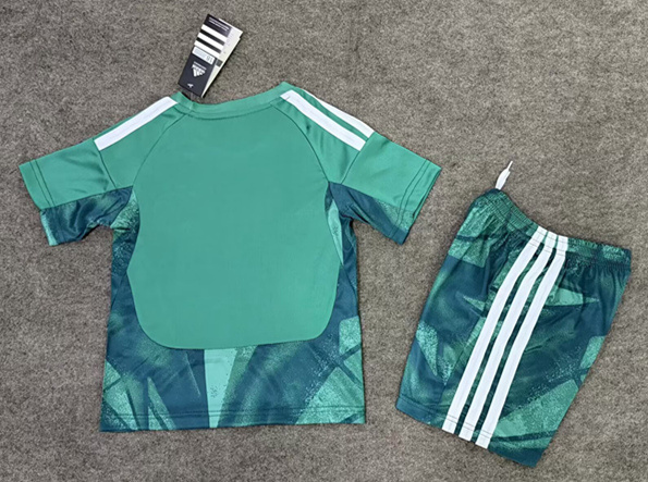 2026 World Cup Germany Goalkeeper Green Kids/Youth Soccer Uniform-6748