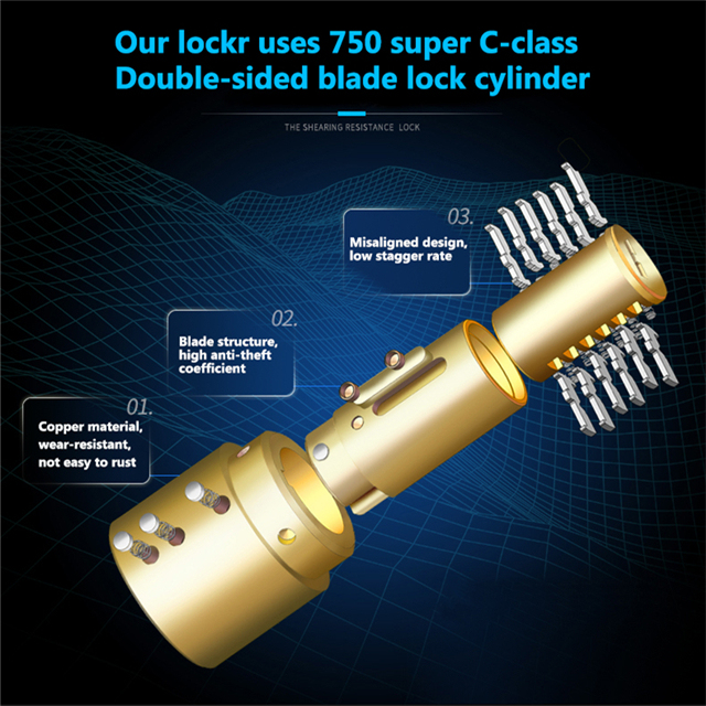 Disc Lock D204&D205