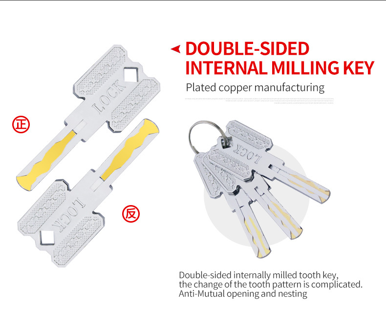 Disc Lock Alarm D2