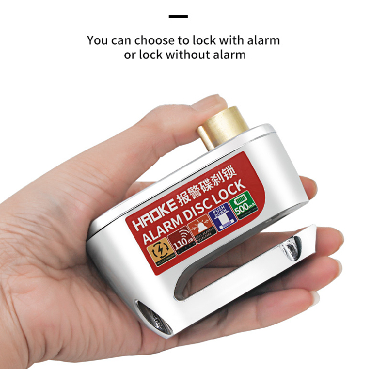 Disc Lock Alarm D2