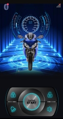 Motorcycle Alarm MF238H-T013