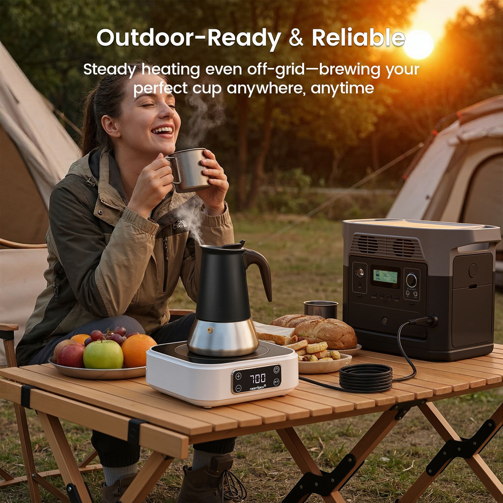 Nestiqex 18F commercial induction cooktop for daily use outdoor RV