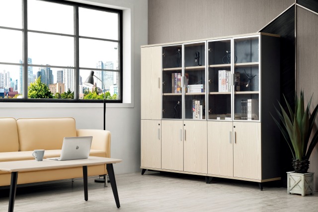 办公室储物玻璃门书柜