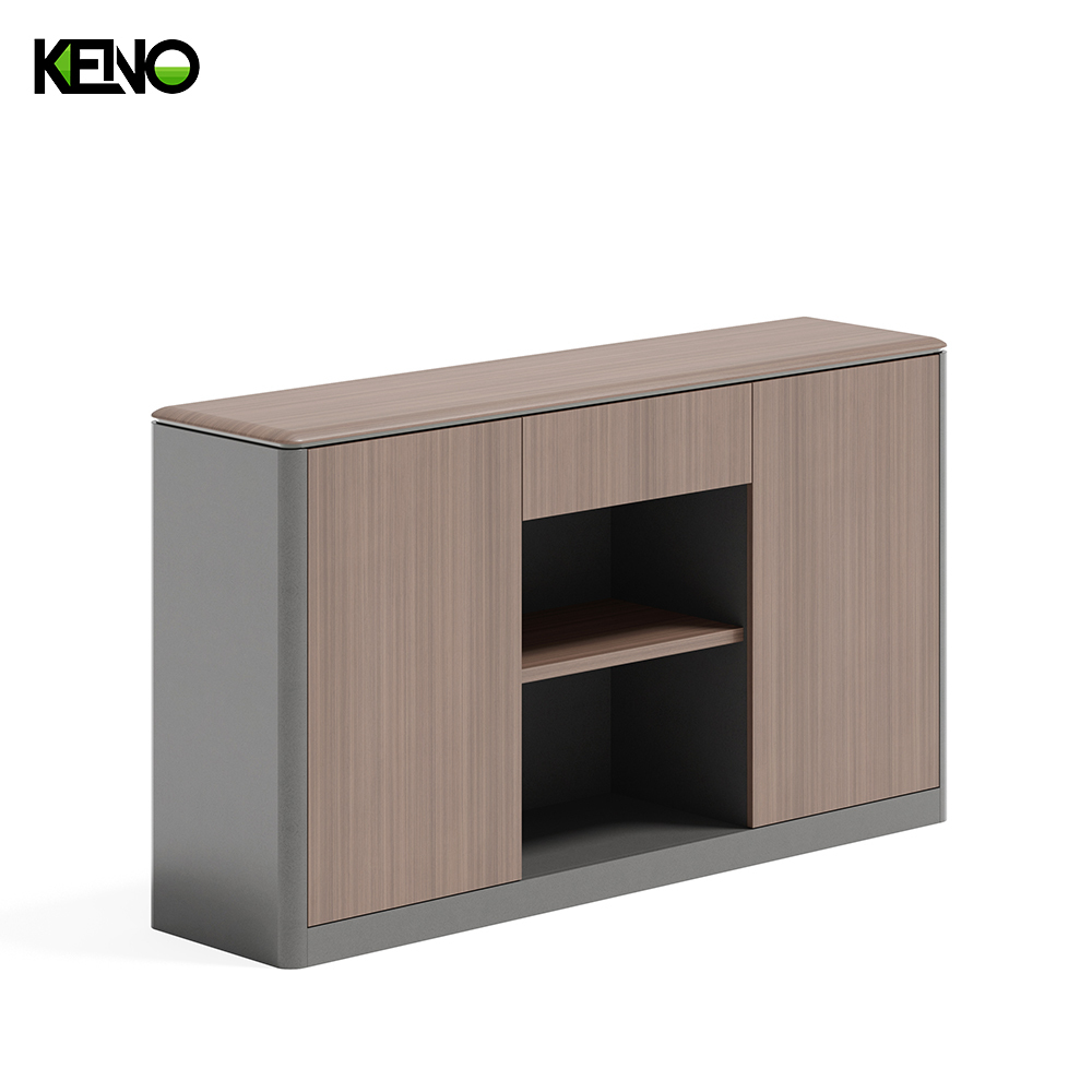 Various Combination Cabinets 5 Drawer Vertical Bookshelf and Fireproof Filing Cabinet Sideboard and Tea Cabinet