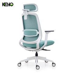 KENO High Back Mesh Office Chair Furniture for Professional Workspaces