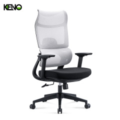 KENO Ergonomic Office Chair with Breathable Mesh Back and Adjustable Support