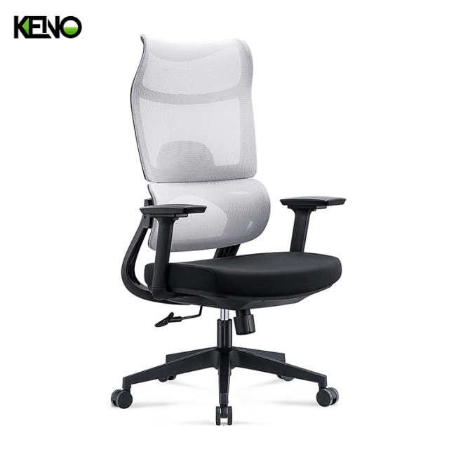 KENO Ergonomic Office Chair with Breathable Mesh Back and Adjustable Support