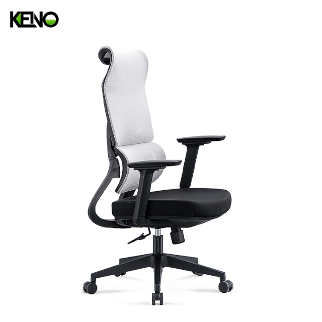 KENO Ergonomic Office Chair with Breathable Mesh Back and Adjustable Support