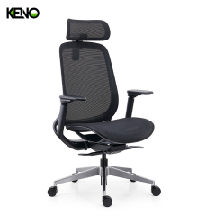 KENO Modern Ergonomic Office Chair Furniture with Adjustable Support Features