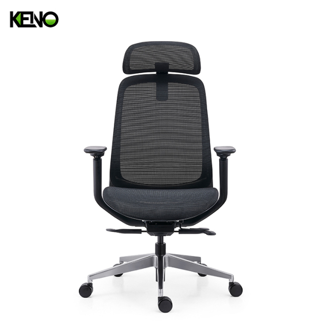 KENO Modern Ergonomic Office Chair Furniture with Adjustable Support Features