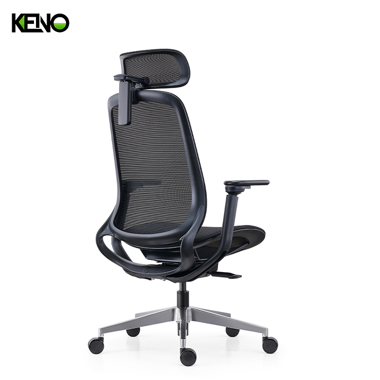 KENO Modern Ergonomic Office Chair Furniture with Adjustable Support Features