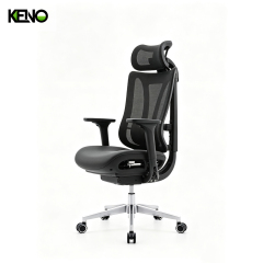 KENO Modern Mesh Office Chair Furniture with Headrest and Adjustable Support