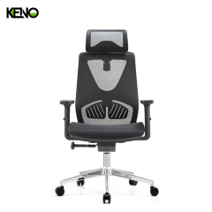 KENO Ergonomic High Back Mesh Office Chair with Headrest and Lumbar Support