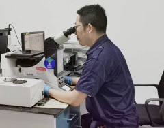 Microscopic Examination