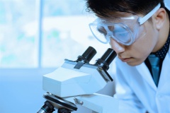 Additional Metallurgical Testing