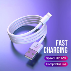 For iPhone USB to Lightning Smart Chip Safe Fast Charging Cable 1 Meter