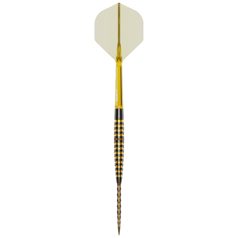 Personal Custom Dart by Mike Aucoin Custom Darts-Y