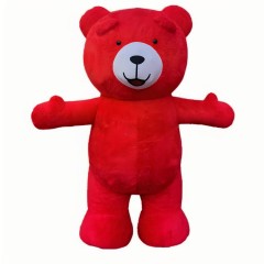 Inflatable Plush Teddy Bear Mascot Costume