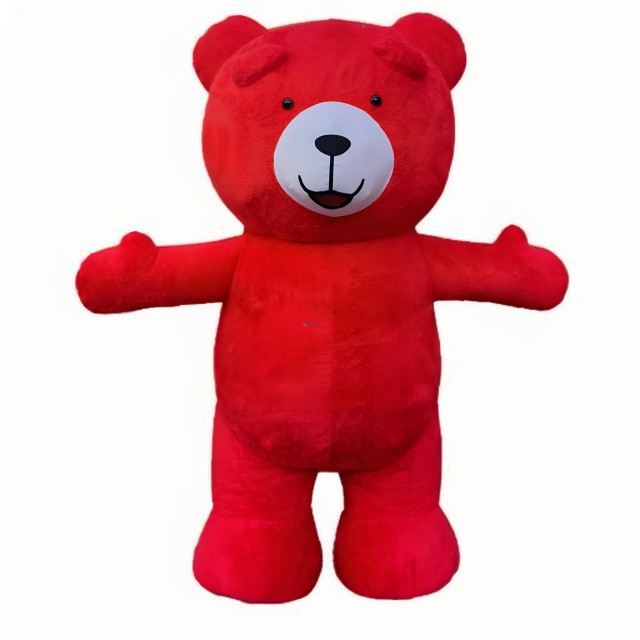 Inflatable Plush Teddy Bear Mascot Costume