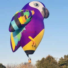 Custom Animal-Shaped Hot Air Balloon for IP Customization