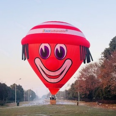 Manned & Flame-Retardant  Animal-Shaped Hot Air Balloon for Sale