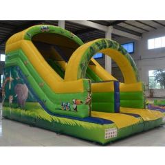 Colorful Durable Inflatable Water Slide for Kids' Outdoor Fun