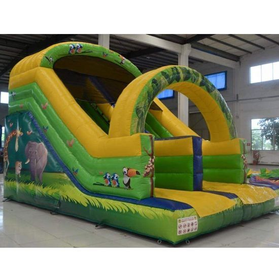 Colorful Durable Inflatable Water Slide for Kids' Outdoor Fun