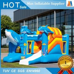 Commercial Inflatable Bounce House for Outdoor Play Rentals
